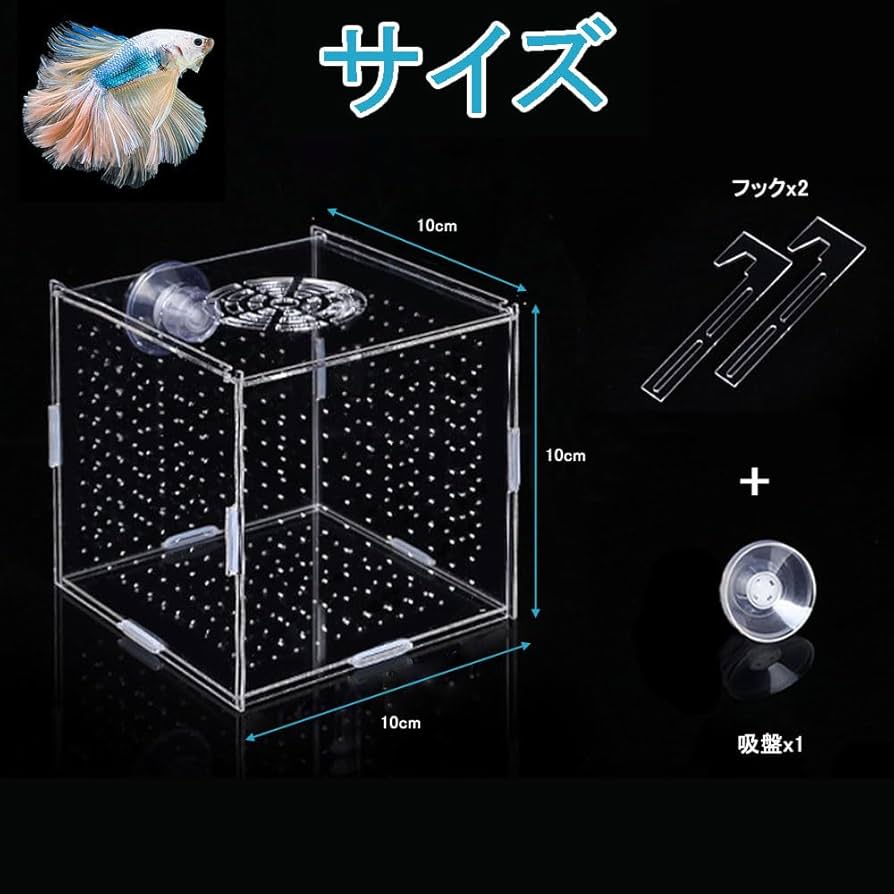 Amazon.co.jp: 稚魚 繁殖隔離ボックス 水槽 隔離ケース 産卵